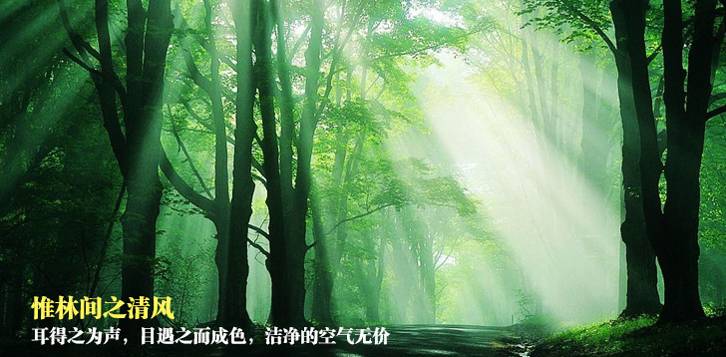 五一去杭州怎么樣？杭州千島湖五一游玩攻略