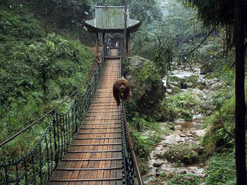 點擊查看源網(wǎng)頁