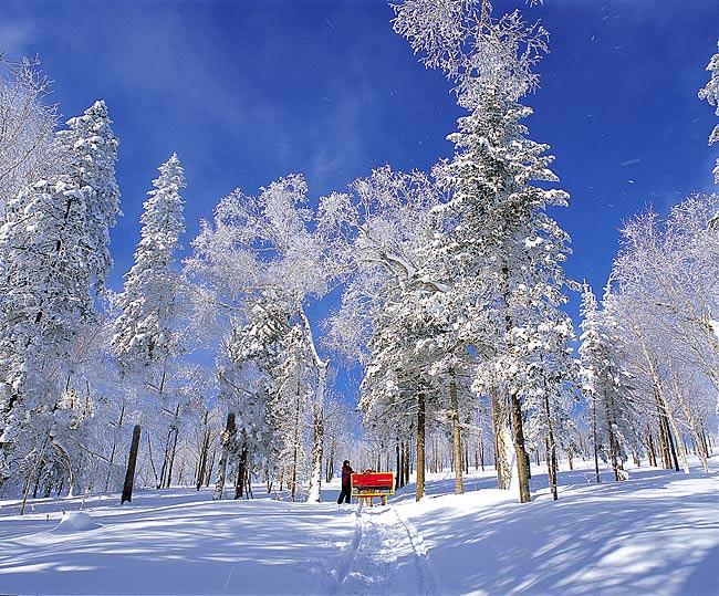 點(diǎn)擊查看源網(wǎng)頁(yè)