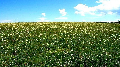 塞罕壩森林公園-烏蘭布統(tǒng)草原
